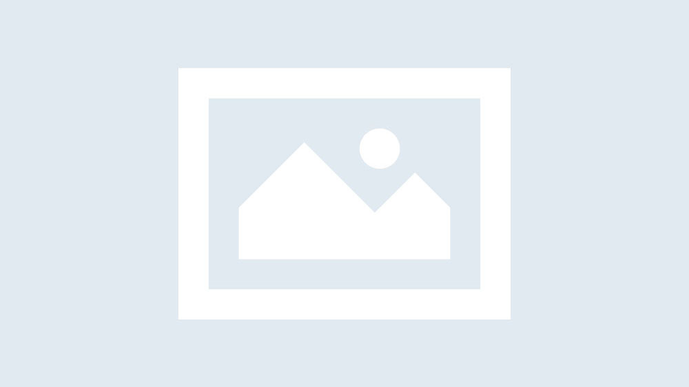 Download Button