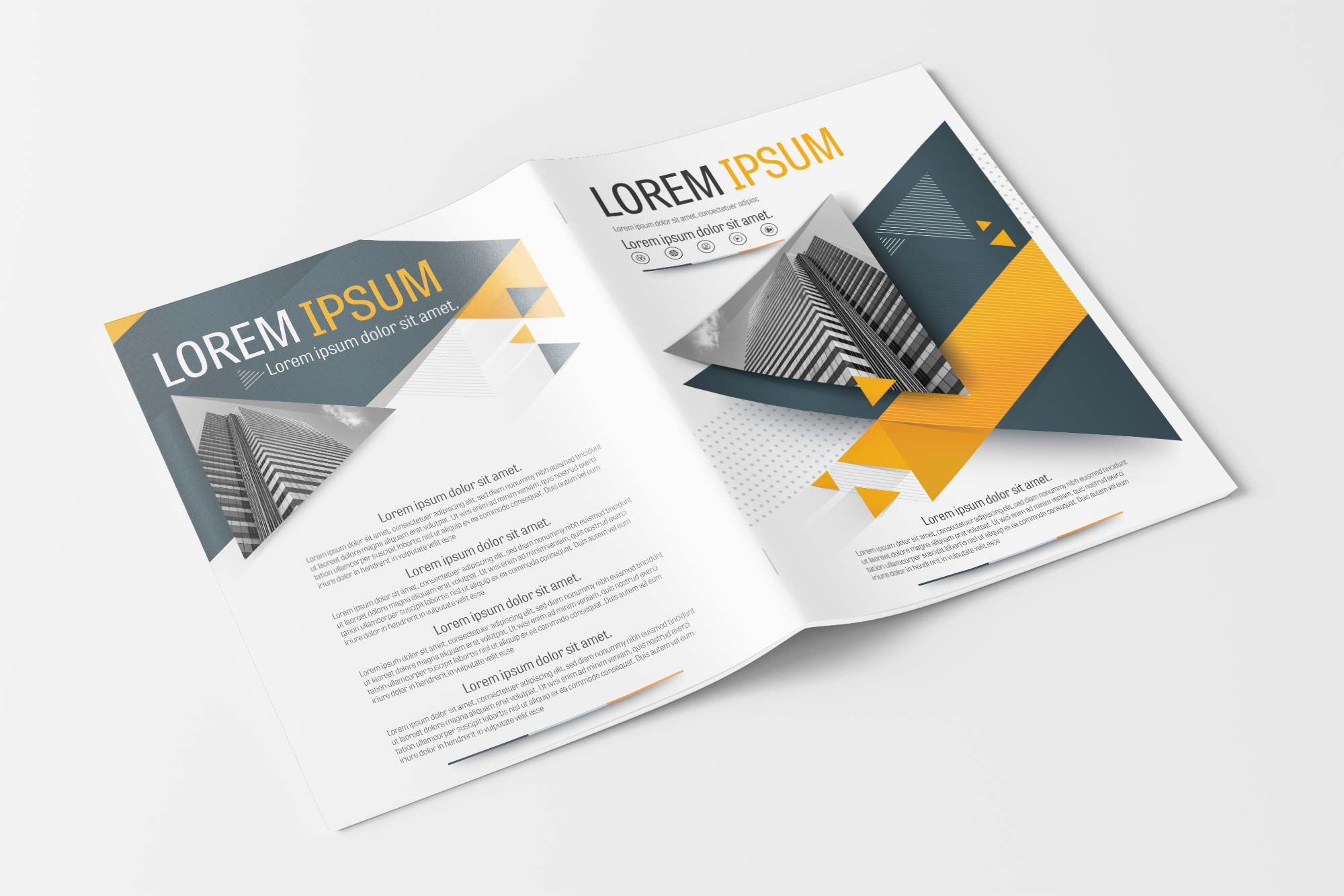 A4 Gray and Yellow Brochure Design Layout Template