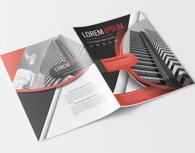 A4 Gray and Red Curve Design Business Brochure Layout Template