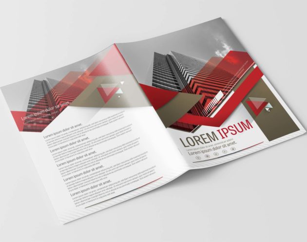 Free Vector Company Brochure Template with Brown and Red