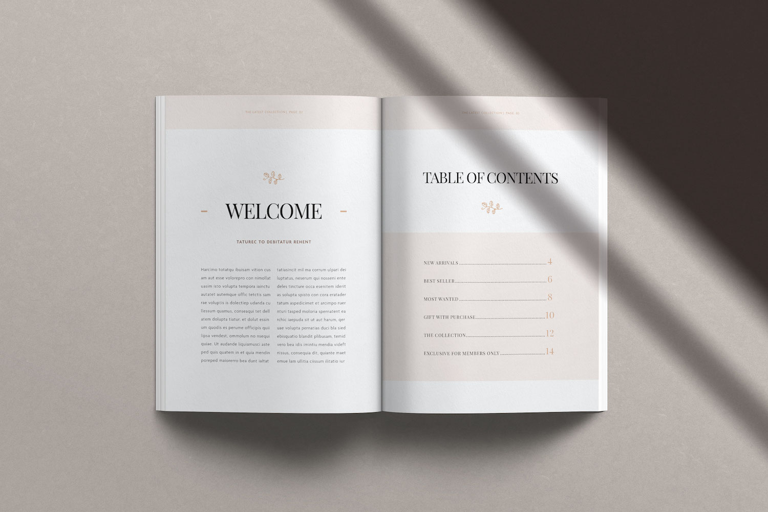 Free Catalog Layout