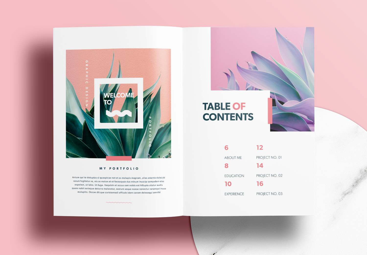 Free Portfolio Templates with Pink Accents