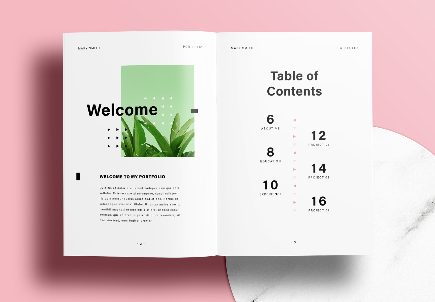 Free InDesign Portfolio Template with Pink Design Elements