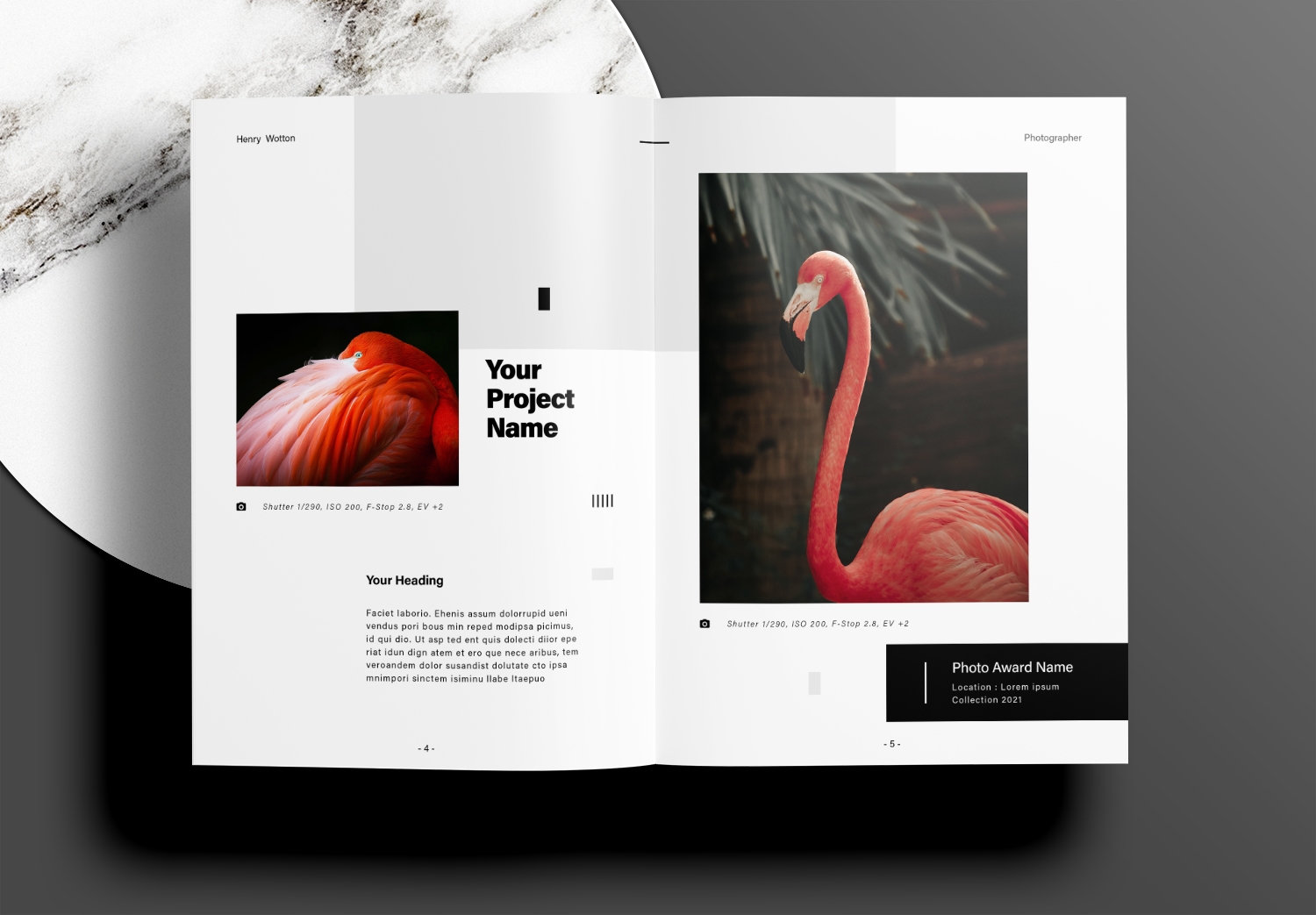 Free InDesign Modern Portfolio or Photobook Layout