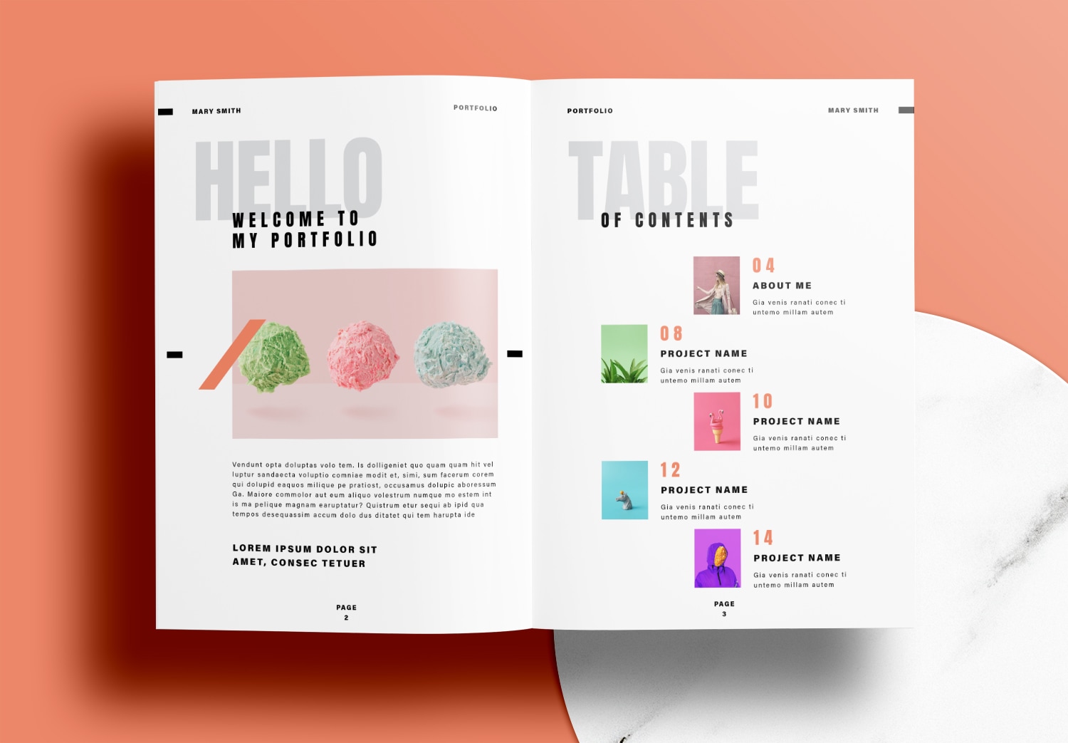 Gray-Portfolio-InDesign-Layout-Template