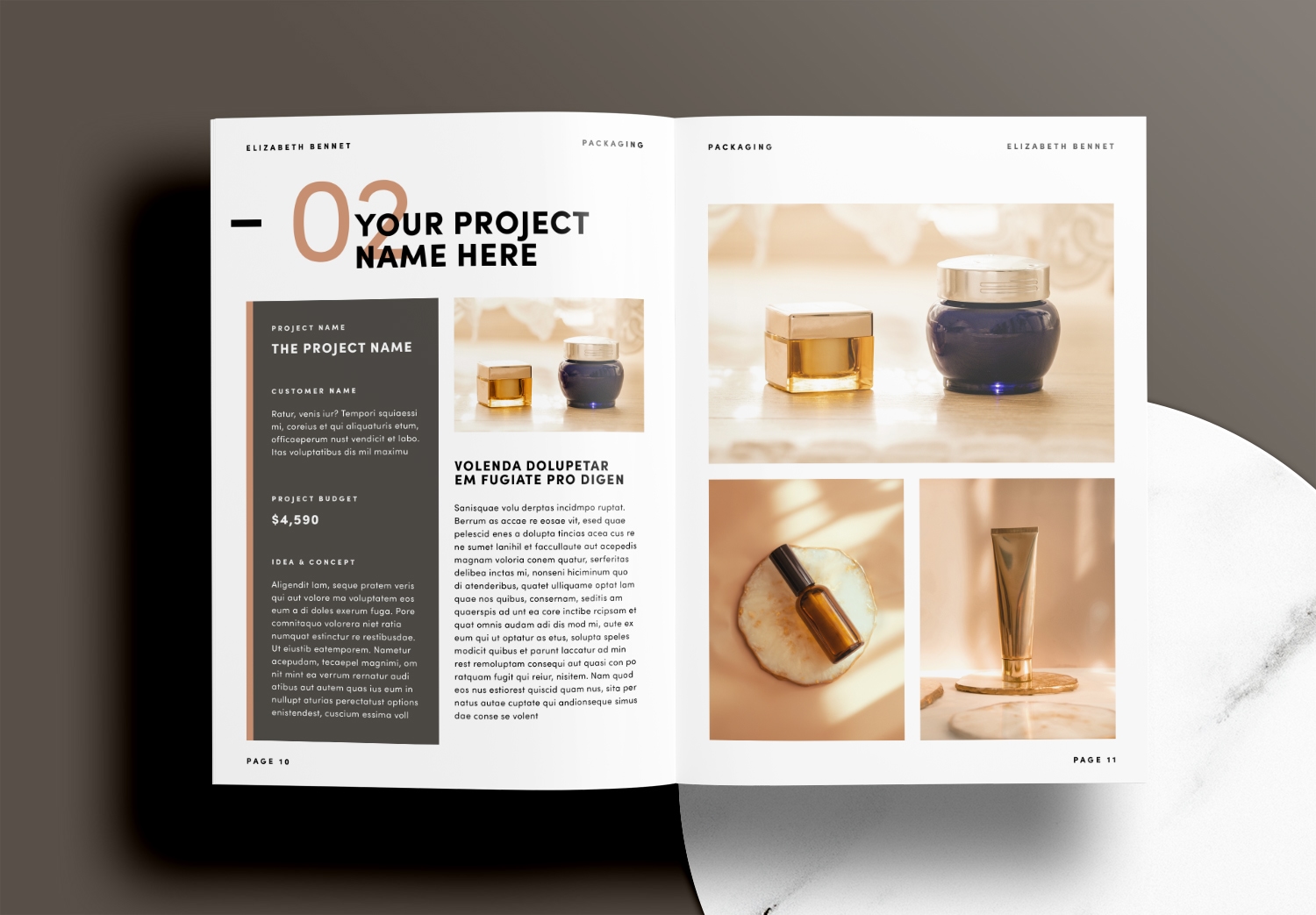 Free-Brown-Portfolio-InDesign-Layout-Template