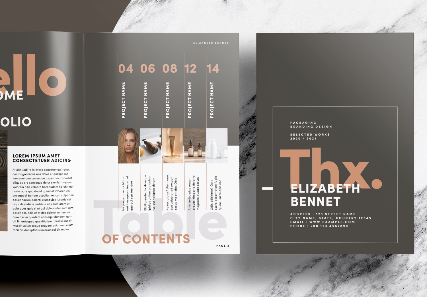 Free-Brown-Portfolio-InDesign-Layout-Template