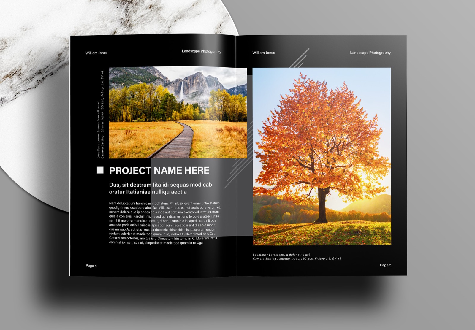 Free-InDesign-Black-Photography-Portfolio-Layout-Templates