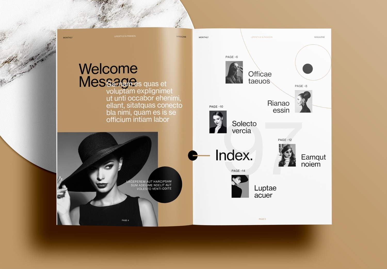 Free-InDesign-Brown-Magazine-Layout-Templates