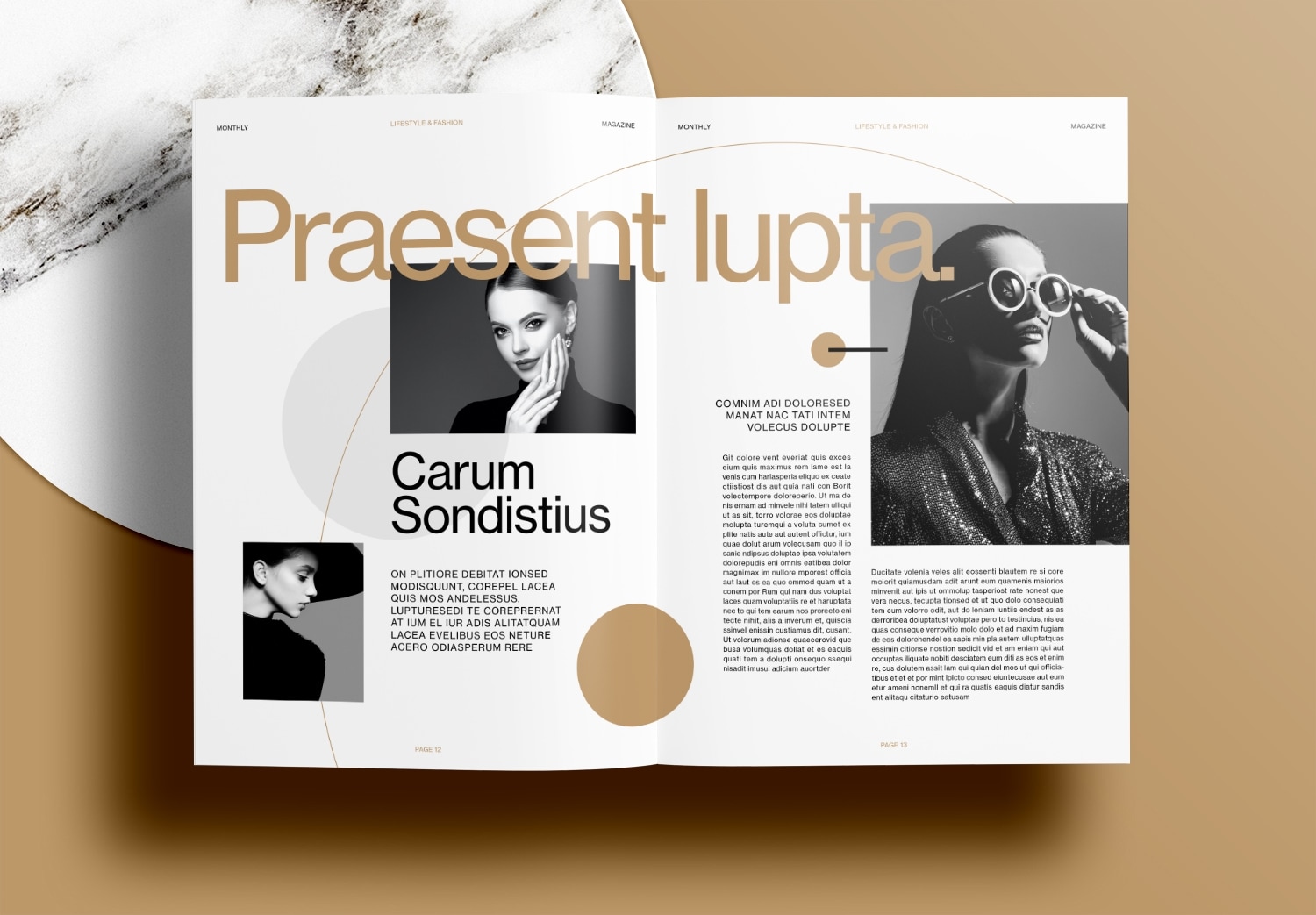 Free-InDesign-Brown-Magazine-Layout-Templates