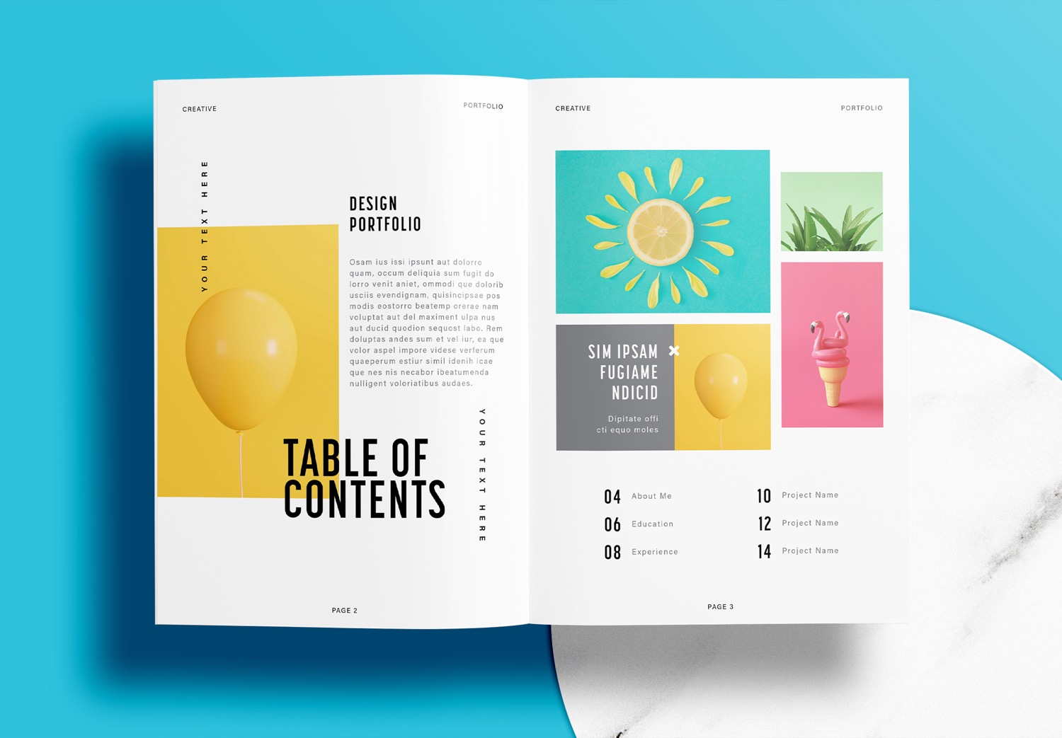 Free InDesign Blue Portfolio Layout Template