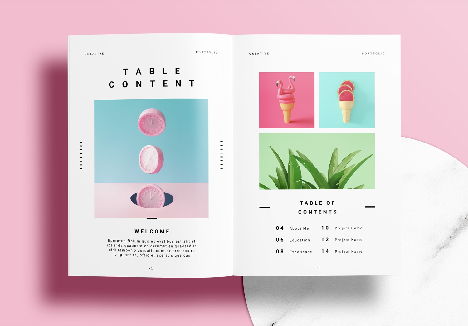 Free-InDesign-Pink-Portfolio-Layout-Templates
