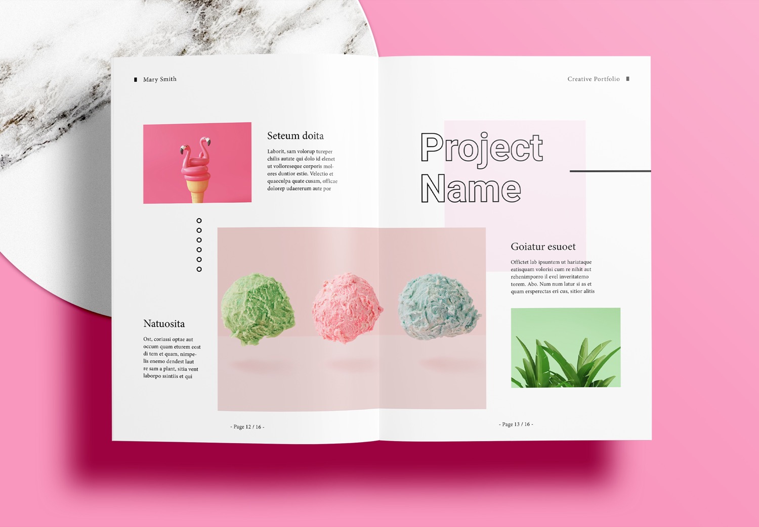 Free InDesign Pink Portfolio Templates