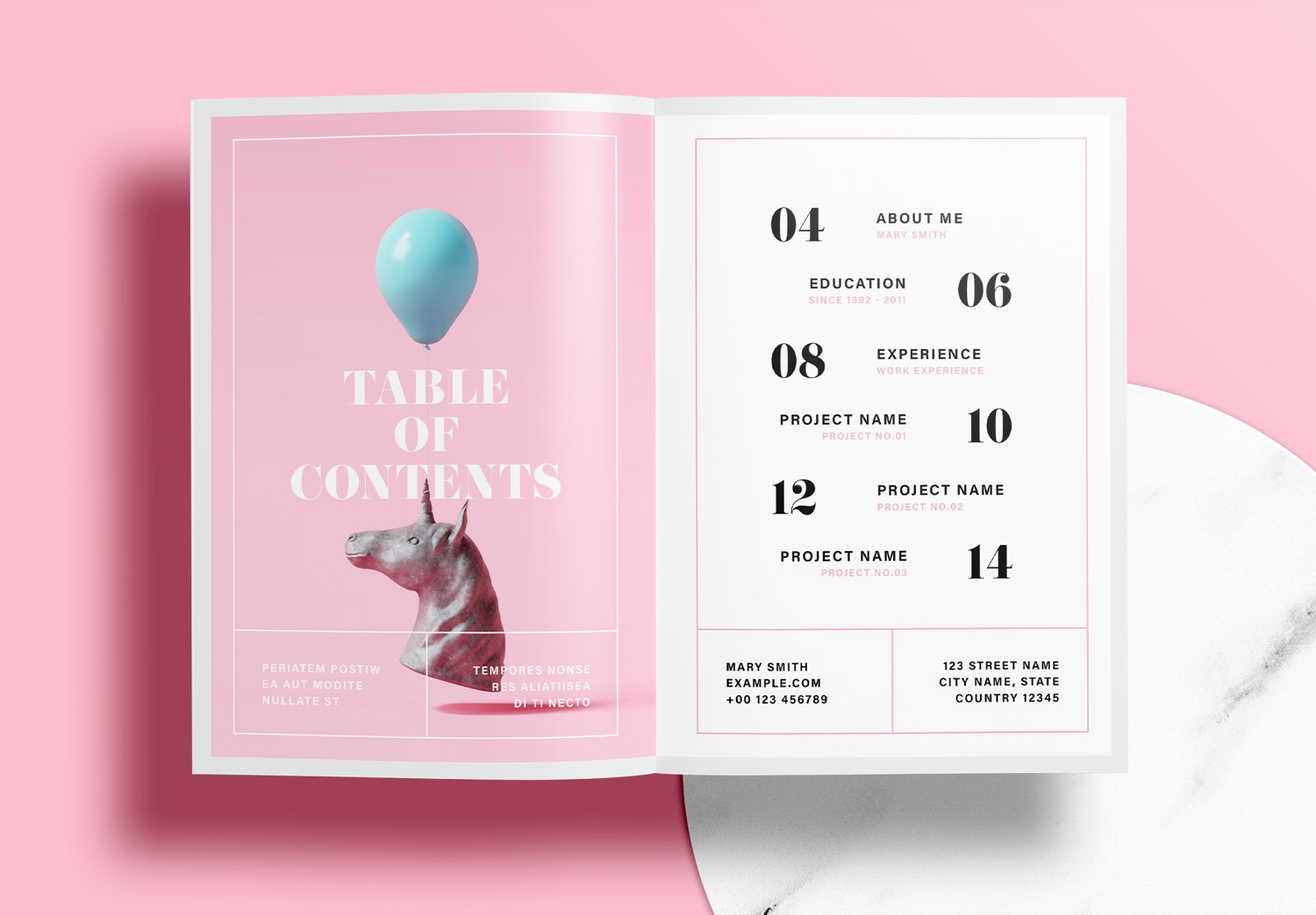 Free InDesign Pink Portfolio Layout Templates