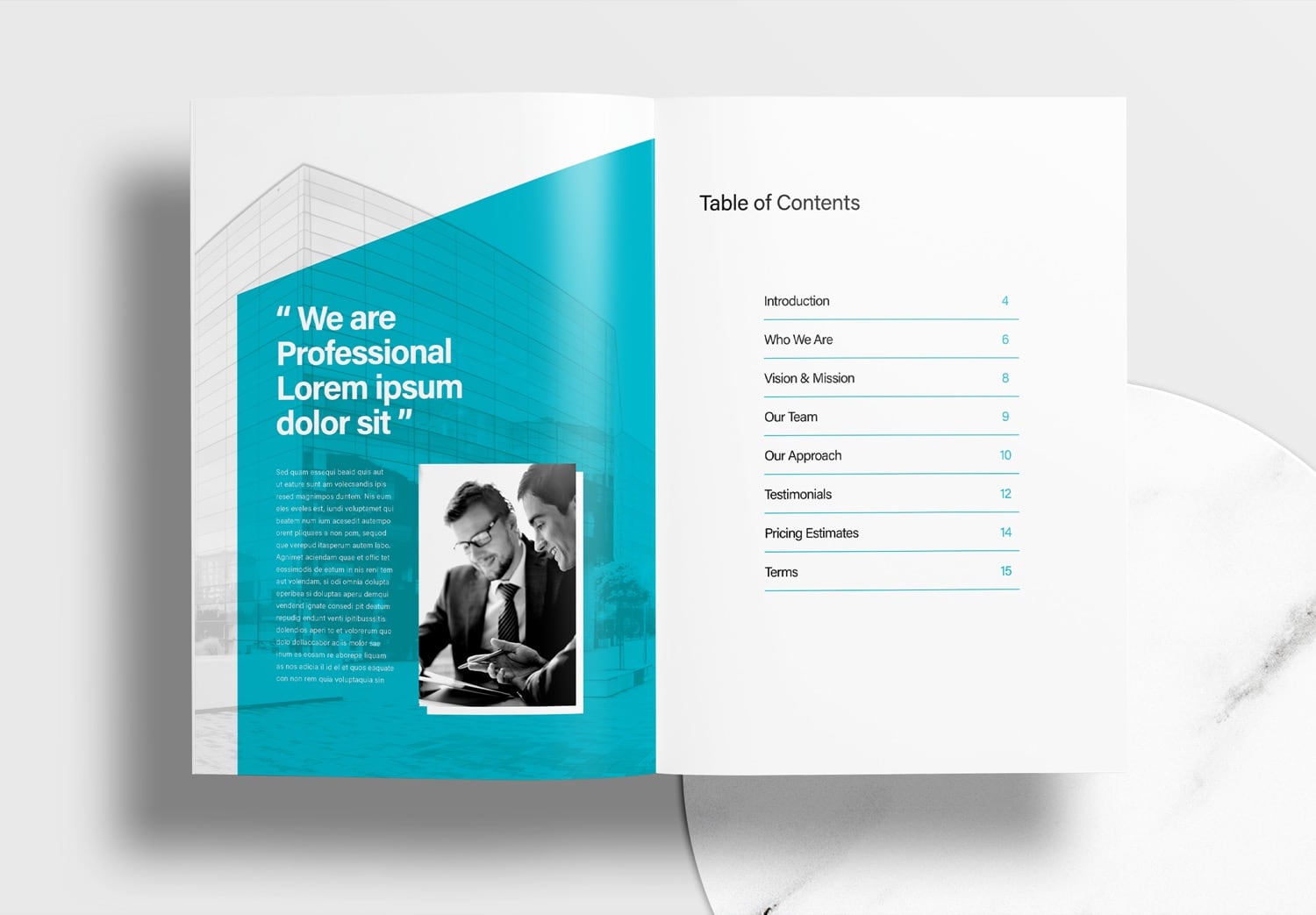 Free InDesign Business Proposal Template with Blue Accents