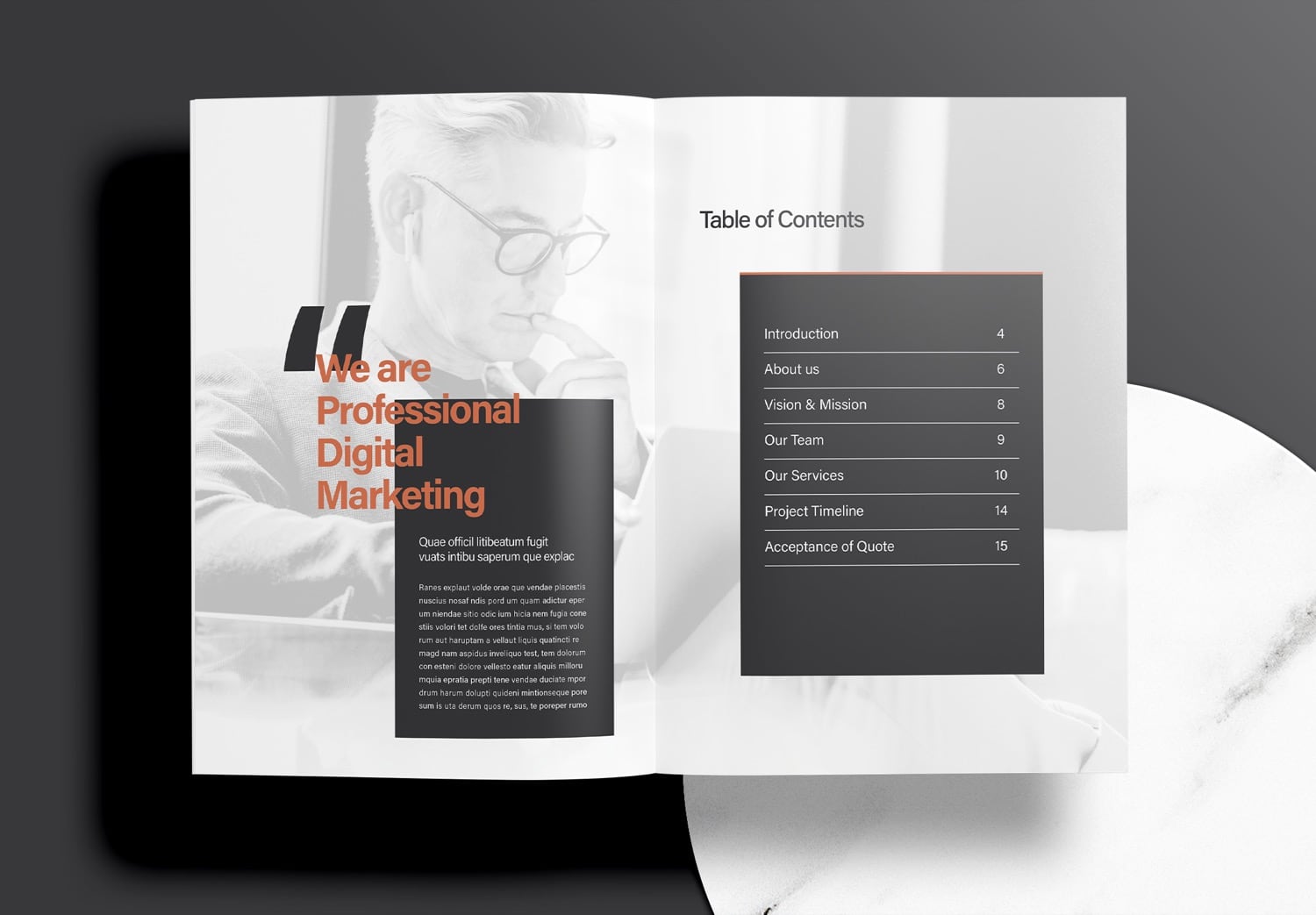 Free InDesign Business Marketing Proposal Template