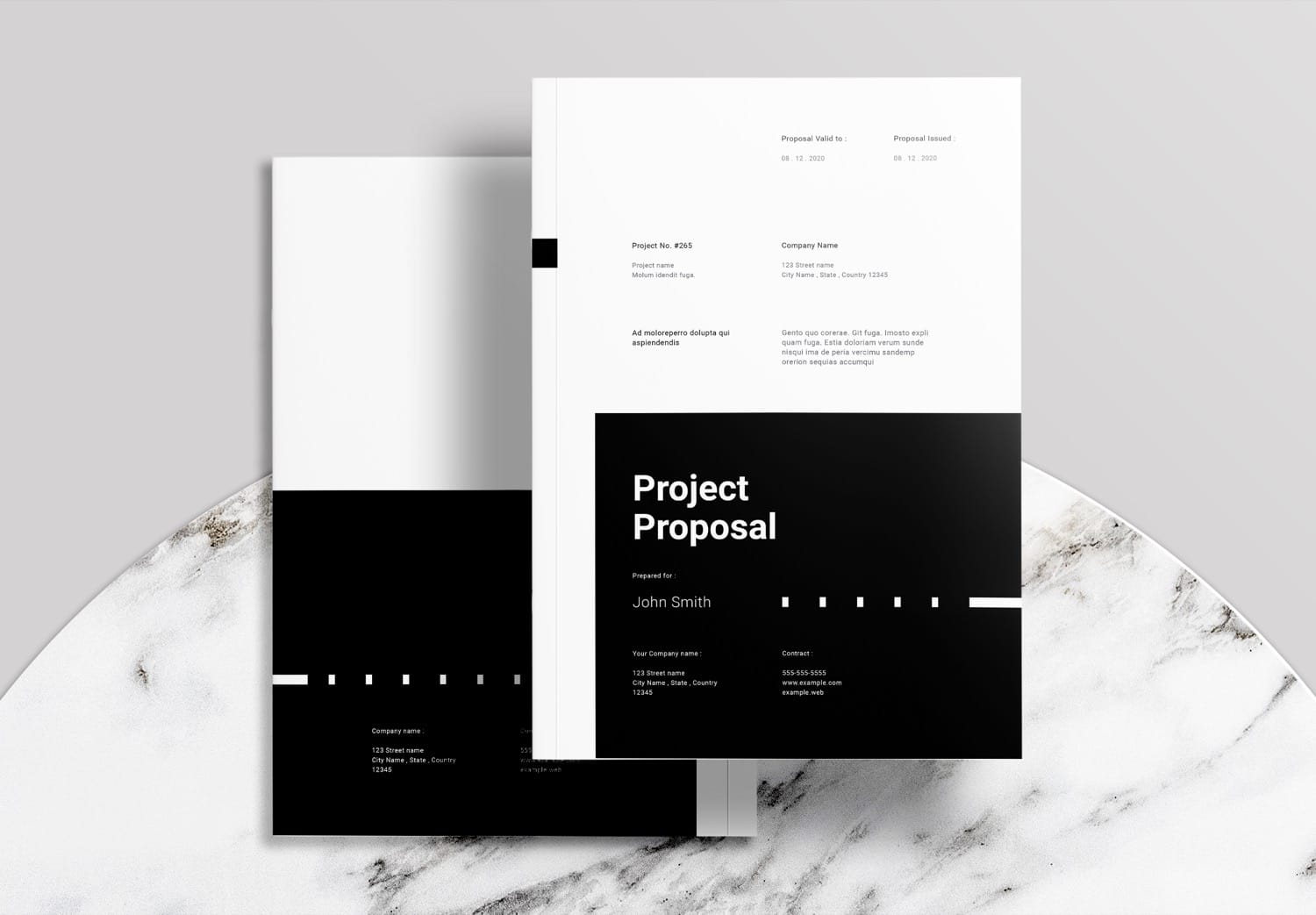 Free Download Project Proposal InDesign Template