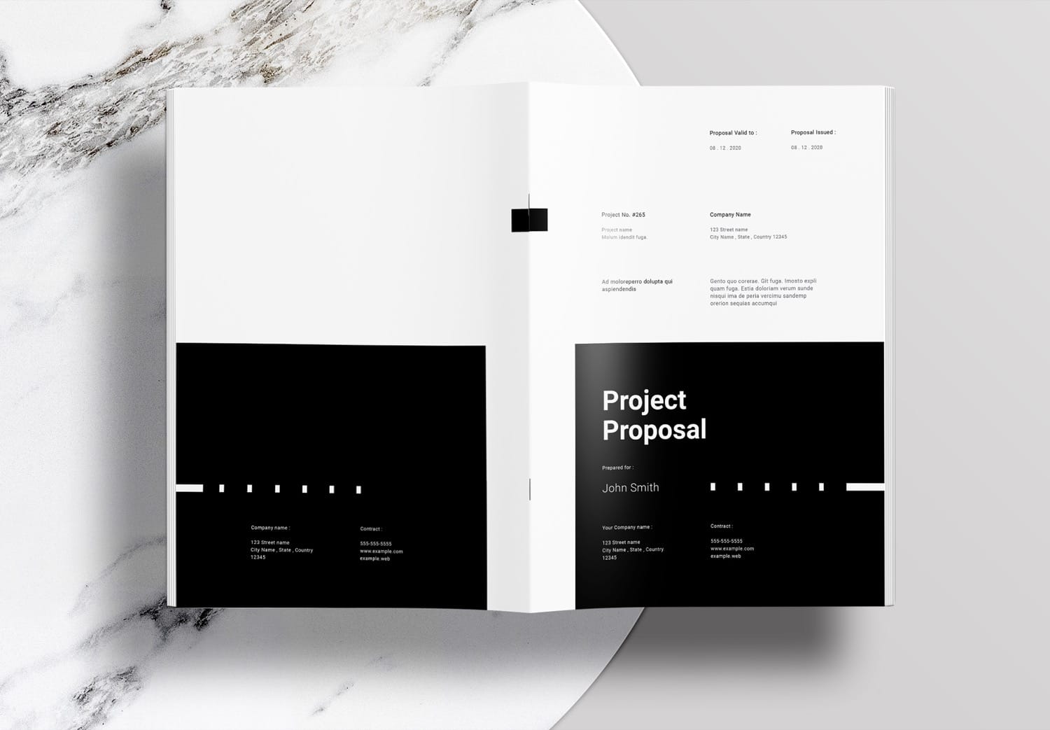 Free Download Project Proposal InDesign Template