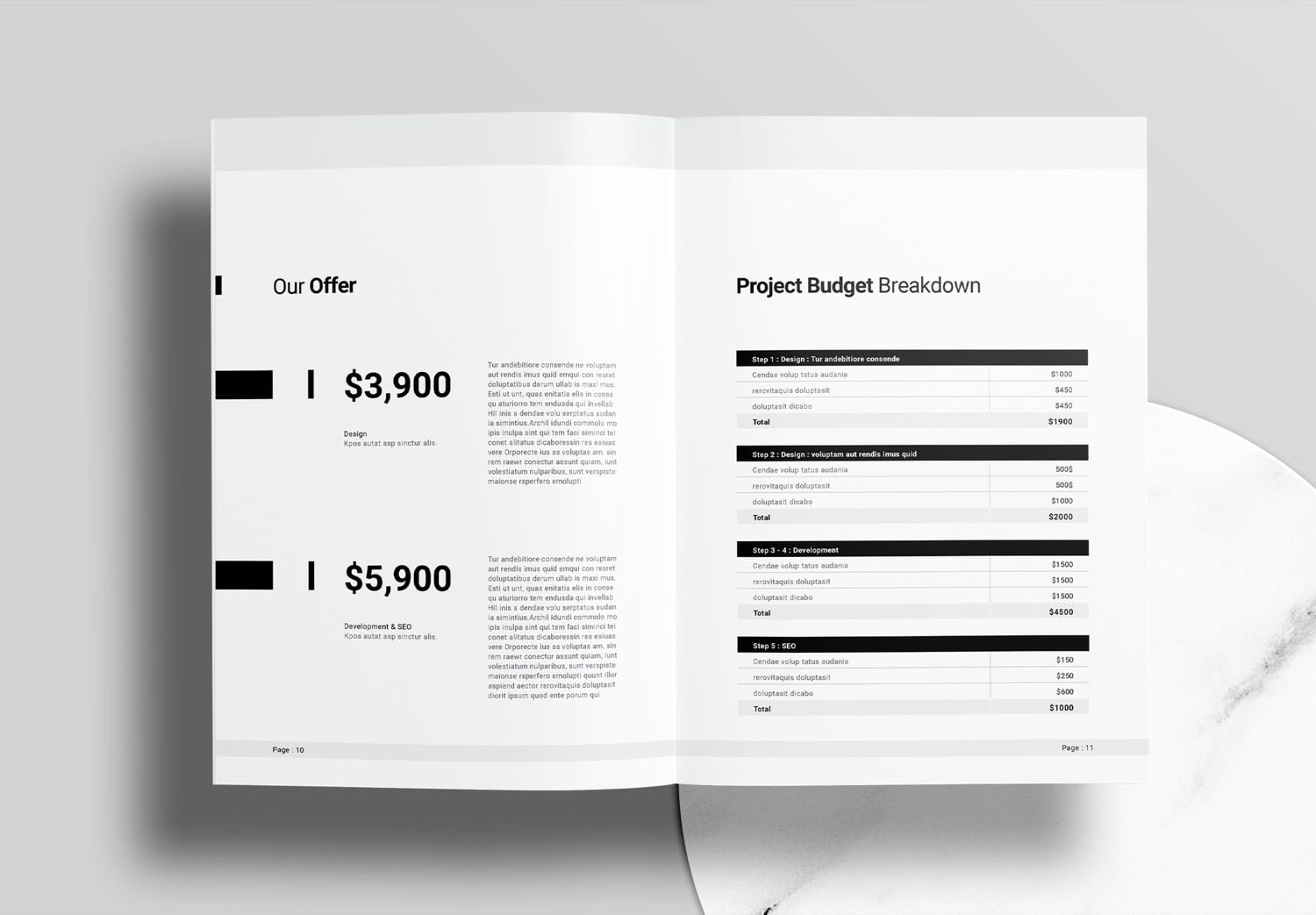Project Proposal InDesign Template Free Download 