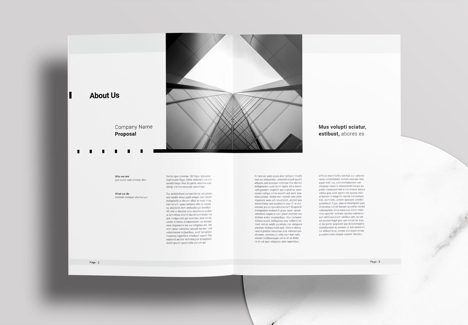 Project Proposal InDesign Template Free Download