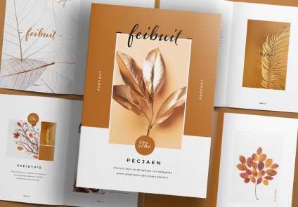 Cover Preview of Brown Portfolio Template