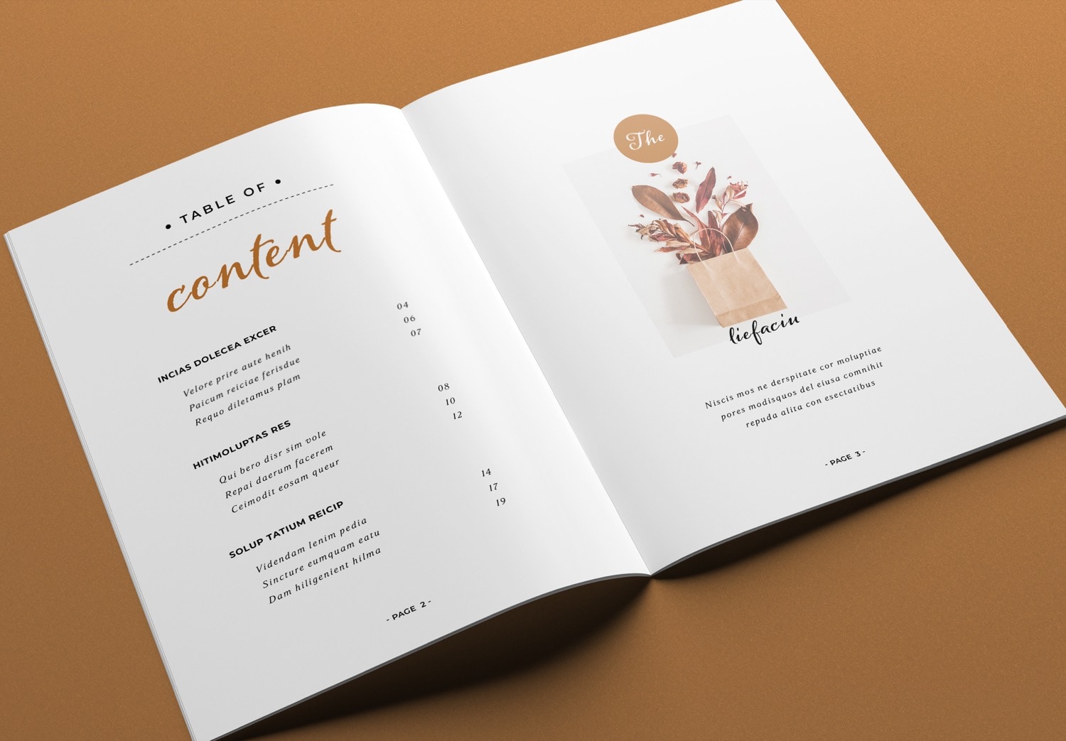 Table of Content Page Preview of Brown Portfolio Template