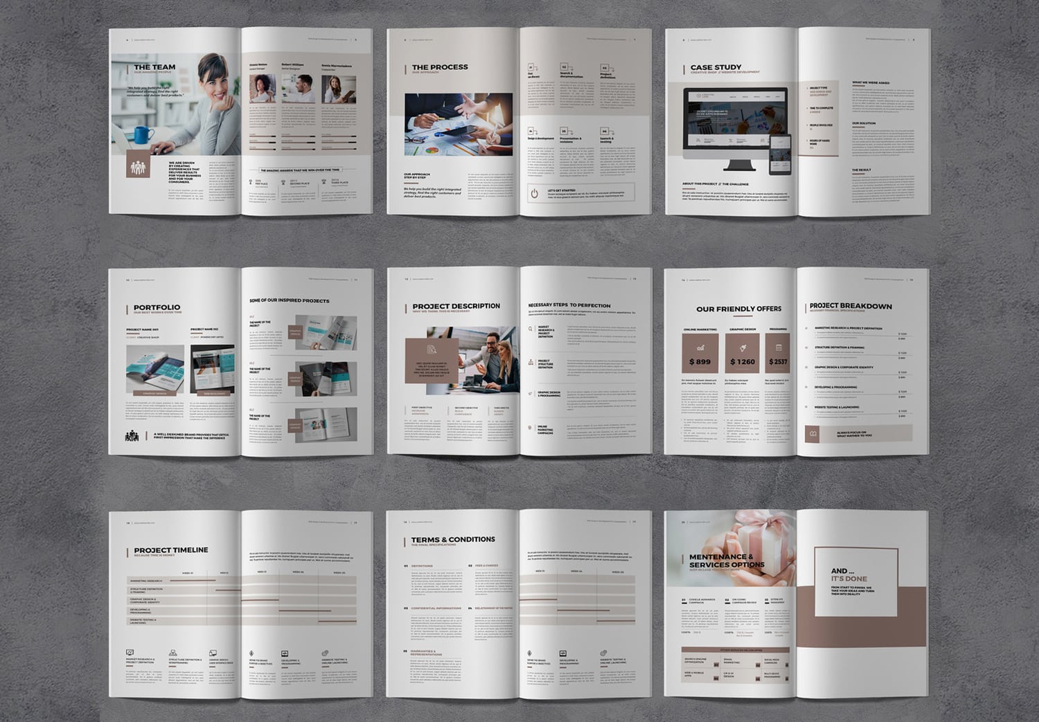 Preview Set of Project Proposal InDesign Layout Template