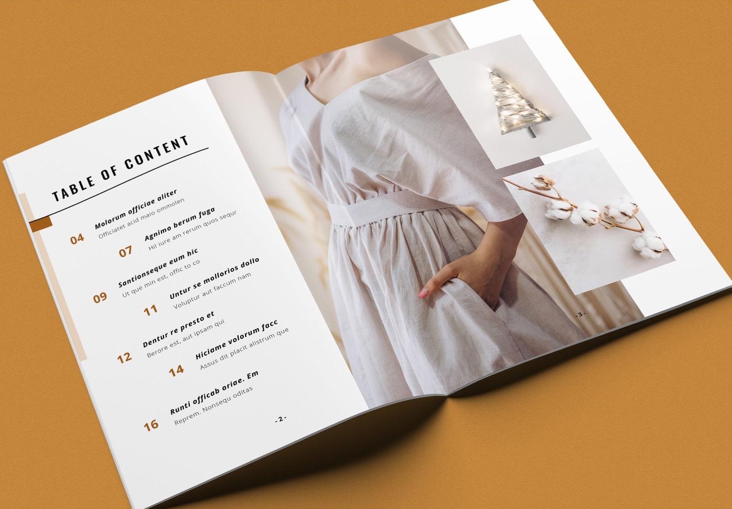 Close up of Free Portfolio InDesign Template with Brown Accents