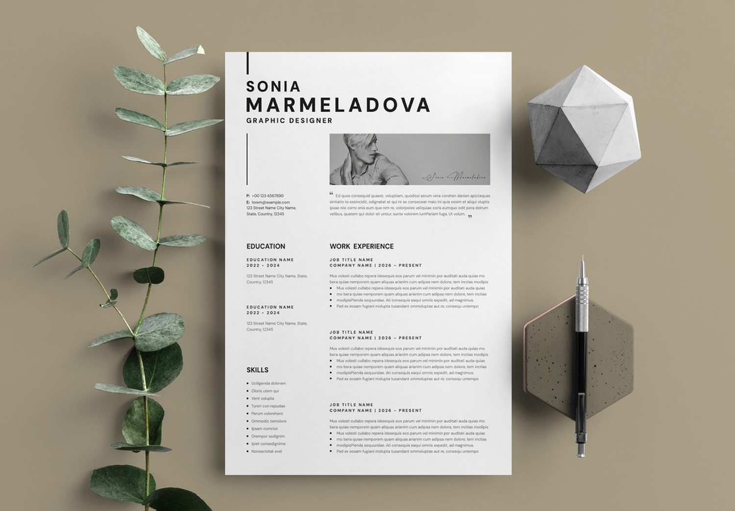 Featured of Clean Resume InDesign Template