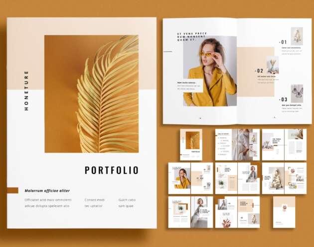 Featured of Free Portfolio InDesign Template with Brown Accents