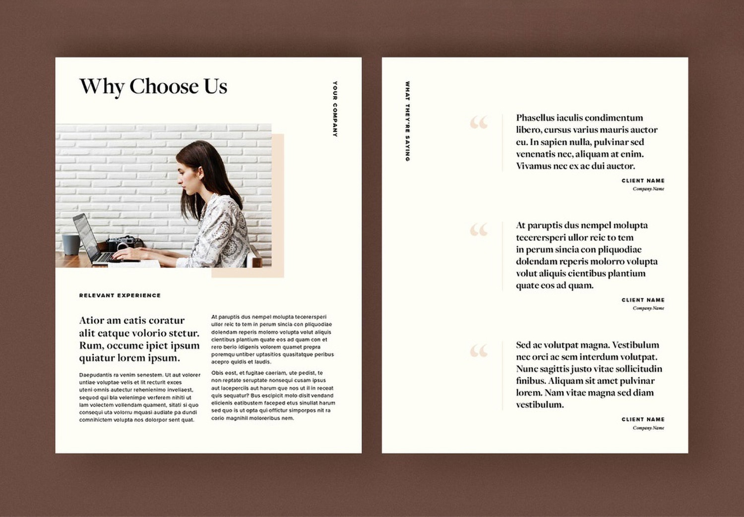 Preview Experience of Minimalist Business Proposal InDesign Template